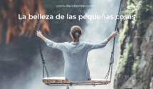 La belleza de las pequeñas cosas