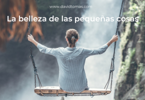 La belleza de las pequeñas cosas