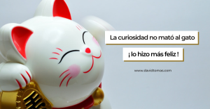 La curiosidad no mató el gato, lo hizo más feliz